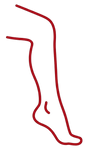 Red outline of a leg on a white background